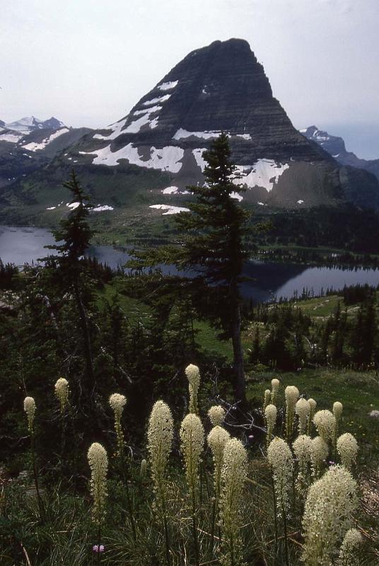 Glacier NP Aug-1990 Beargrass and Bearhat Mtn.jpg